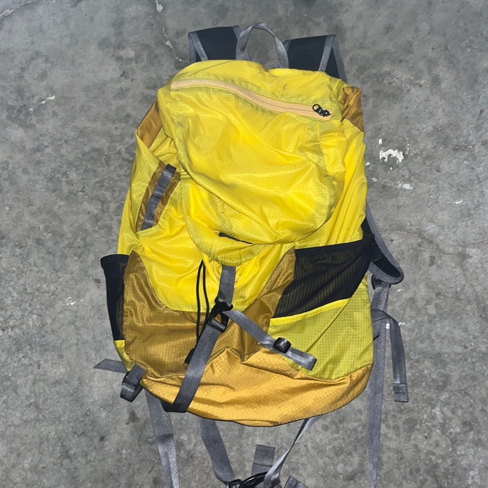 Well Loved Patagonia Backpack